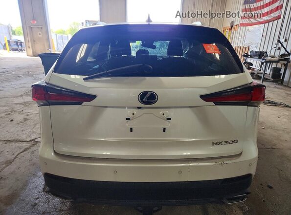 JTJBARBZ3J2166246 2018 LEXUS NX Белый Вид сзади