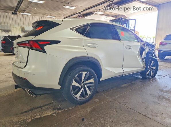 JTJBARBZ3J2166246 2018 LEXUS NX Белый Задняя правая четверть