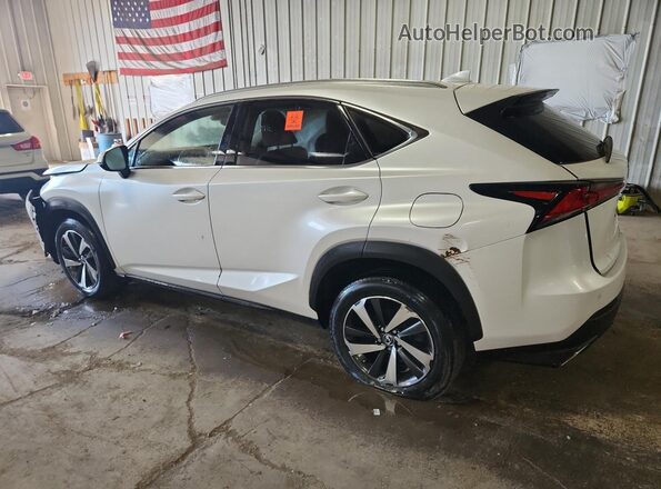 JTJBARBZ3J2166246 2018 LEXUS NX Белый 