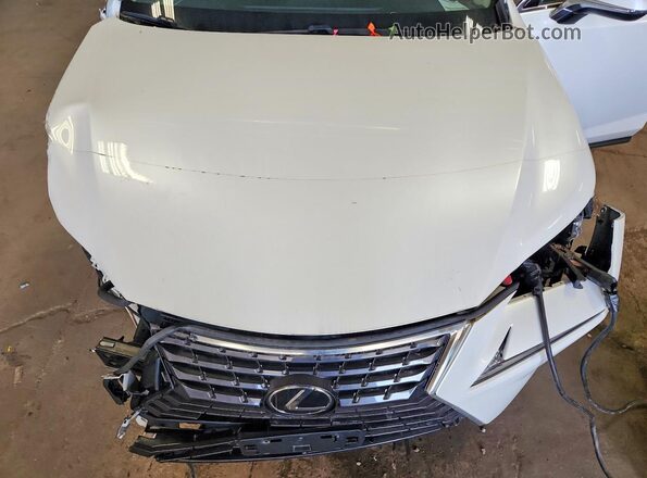 JTJBARBZ3J2166246 2018 LEXUS NX Белый Вид задней части салона