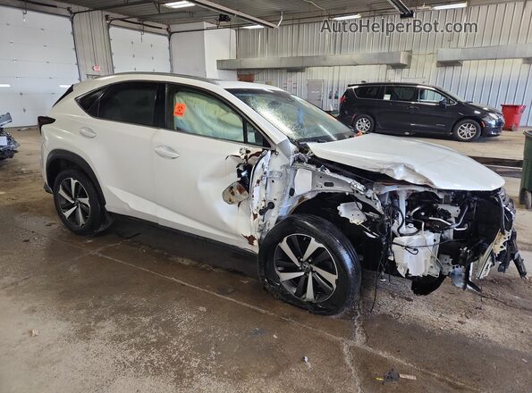 JTJBARBZ3J2166246 2018 LEXUS NX Белый 