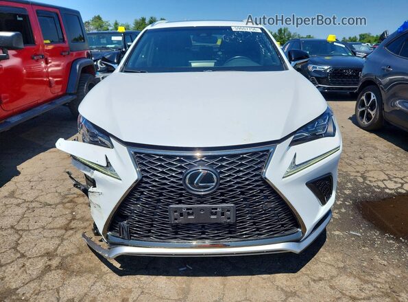 JTJBARBZ3K2193982 2019 LEXUS NX White წინა ხედი