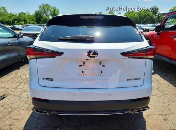 JTJBARBZ3K2193982 2019 LEXUS NX White უკანა ხედი