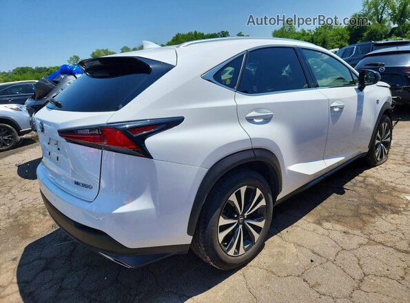 JTJBARBZ3K2193982 2019 LEXUS NX White უკანა მარჯვენა