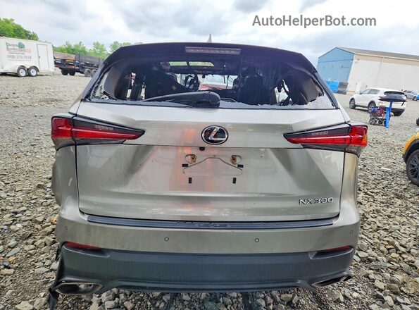 JTJBARBZ3K2210313 2019 LEXUS NX Пожар Вид сзади
