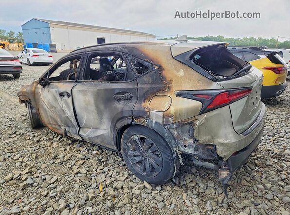 JTJBARBZ3K2210313 2019 LEXUS NX Пожар Задняя левая четверть