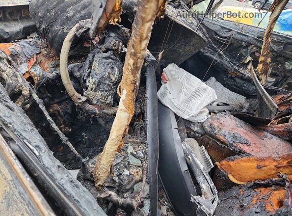 JTJBARBZ3K2210313 2019 LEXUS NX Пожар Вид панели приборов