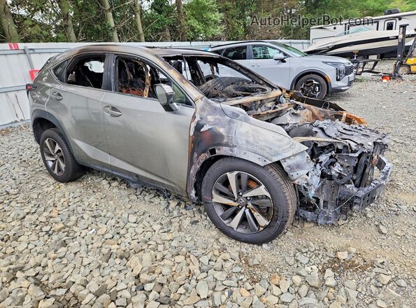 JTJBARBZ3K2210313 2019 LEXUS NX Пожар Передняя правая четверть