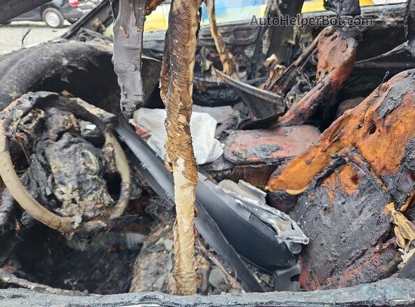 JTJBARBZ3K2210313 2019 LEXUS NX Пожар Вид салона спереди