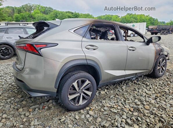 JTJBARBZ3K2210313 2019 LEXUS NX Пожар Задняя правая четверть