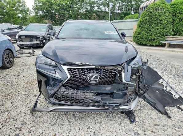 JTJBARBZ4H2129796 2017 LEXUS NX Black Вид спереду