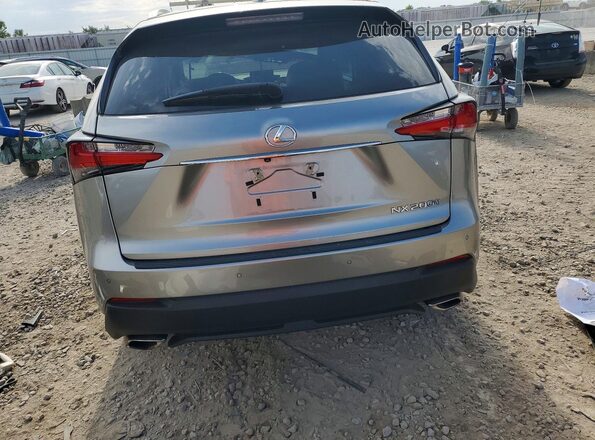 JTJBARBZ4H2143231 2017 LEXUS NX Gray უკანა ხედი