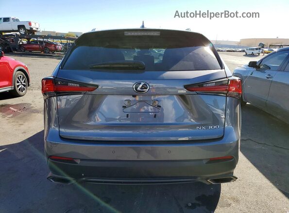 JTJBARBZ4J2176672 2018 LEXUS NX Gray Հետևի տեսք