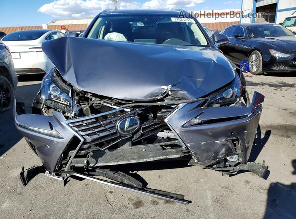 JTJBARBZ4J2176672 2018 LEXUS NX Gray Դիմացի տեսք