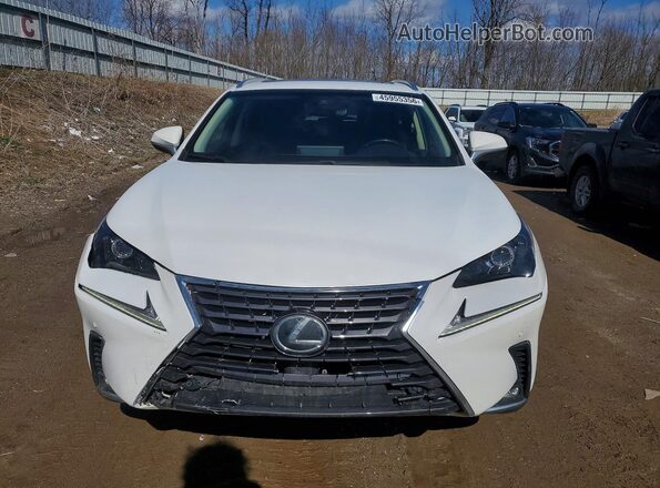 JTJBARBZ4K2187155 2019 LEXUS NX White Widok z przodu