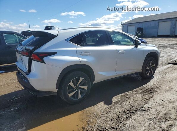 JTJBARBZ4K2187155 2019 LEXUS NX White Tył prawy