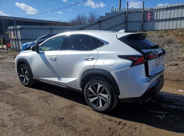 JTJBARBZ4K2187155 2019 LEXUS NX White Tył lewy