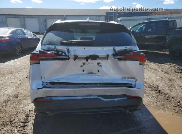 JTJBARBZ4K2187155 2019 LEXUS NX White Widok z tyłu