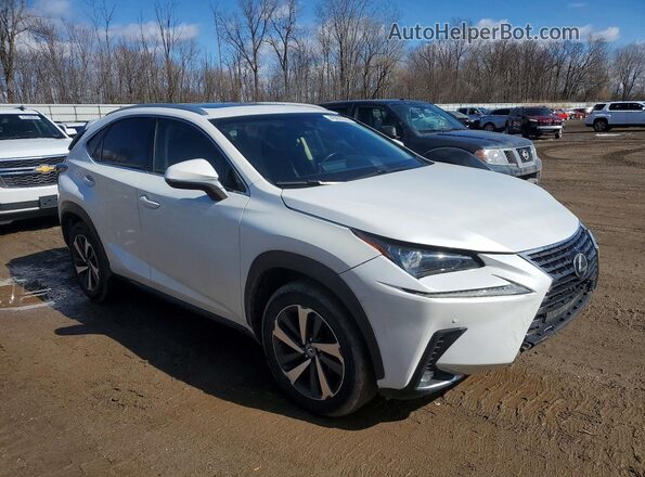 JTJBARBZ4K2187155 2019 LEXUS NX White Przód prawy