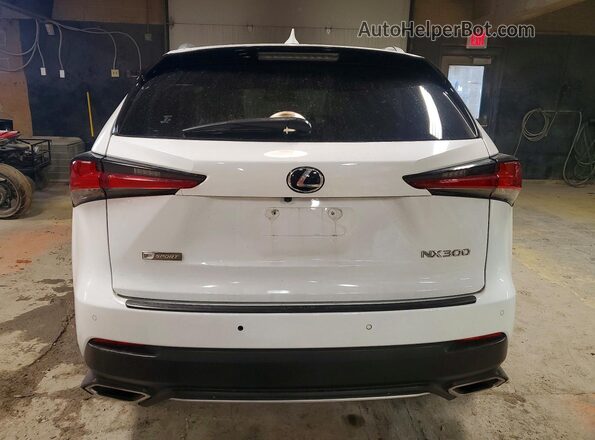 JTJBARBZ4K2187768 2019 LEXUS NX White Vista trasera