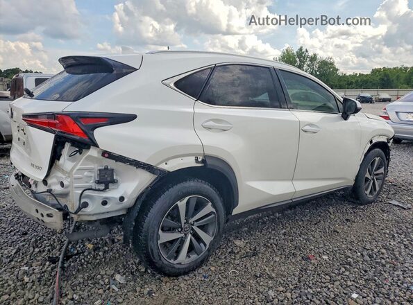JTJBARBZ4K2211843 2019 LEXUS NX White Trasero derecho
