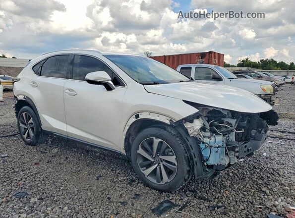 JTJBARBZ4K2211843 2019 LEXUS NX White Delantero derecho