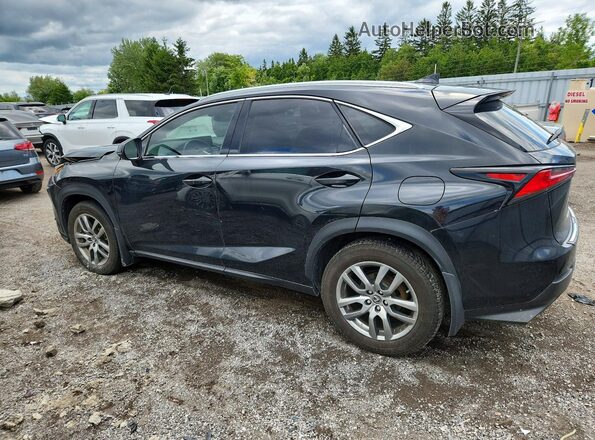 JTJBARBZ4K2214810 2019 LEXUS NX Black Trasero izquierdo