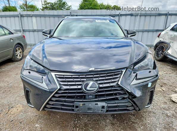JTJBARBZ4K2214810 2019 LEXUS NX Black Vista frontal