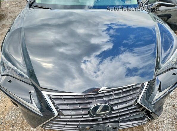 JTJBARBZ4K2214810 2019 LEXUS NX Black Vista del compartimento del motor