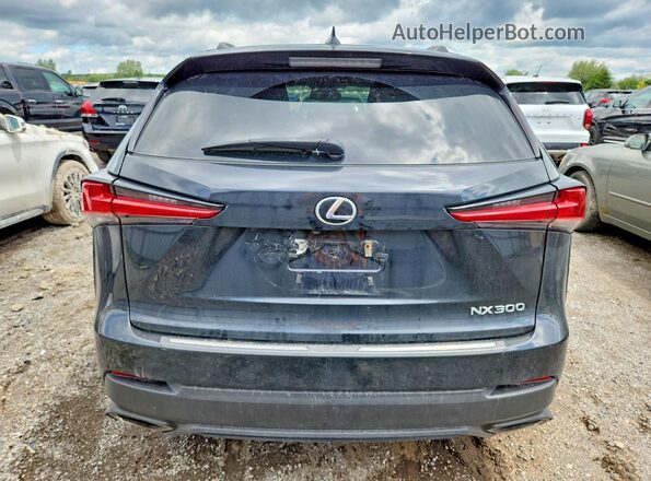 JTJBARBZ4K2214810 2019 LEXUS NX Black Vista trasera