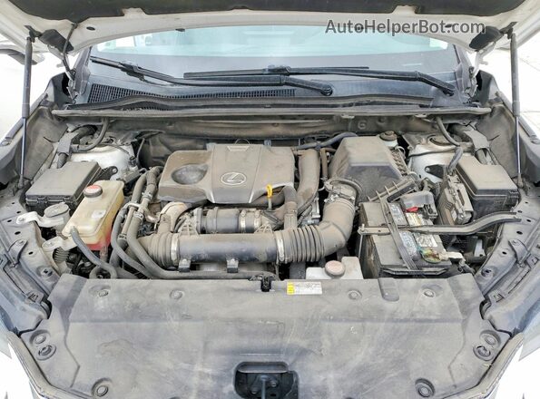 JTJBARBZ5G2075360 2016 LEXUS NX Белый Вид задней части салона