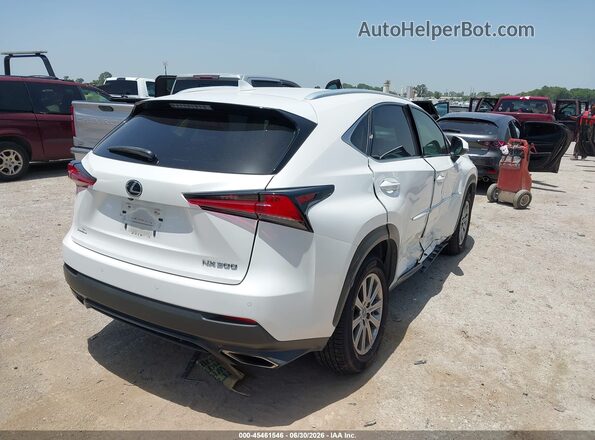 JTJBARBZ5K2182871 2019 LEXUS NX 300 White Հետևի աջ