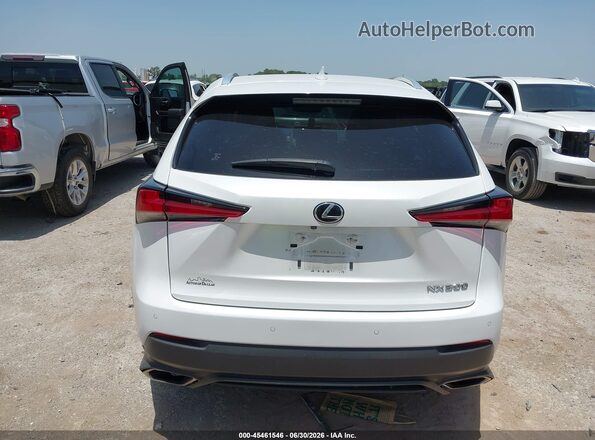 JTJBARBZ5K2182871 2019 LEXUS NX 300 White 
