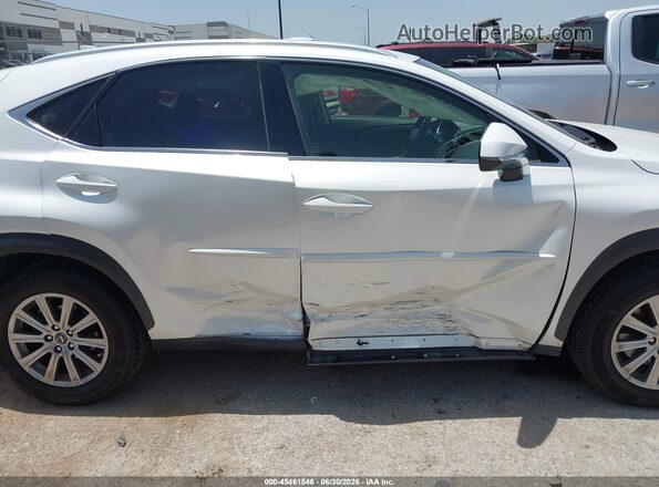 JTJBARBZ5K2182871 2019 LEXUS NX 300 White Սալոնի հետևի տեսք