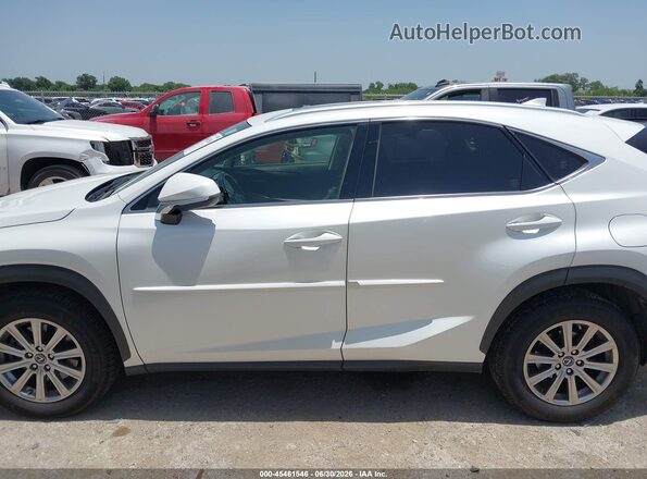 JTJBARBZ5K2182871 2019 LEXUS NX 300 White Սալոնի 360 աստիճան տեսք