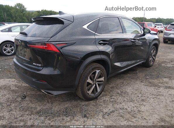 JTJBARBZ5K2196401 2019 LEXUS NX 300 Gray უკანა მარჯვენა
