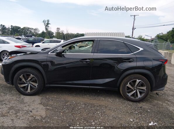 JTJBARBZ5K2196401 2019 LEXUS NX 300 Gray სალონის 360-გრადუსიანი ხედი