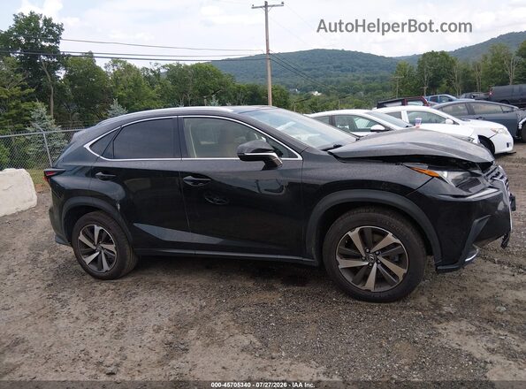 JTJBARBZ5K2196401 2019 LEXUS NX 300 Gray უკანა სალონის ხედი