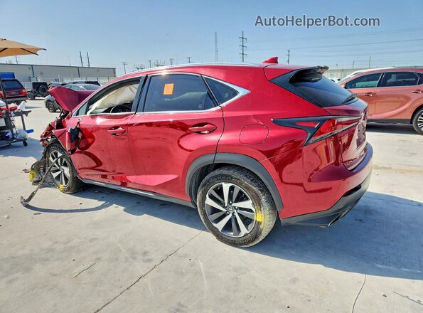 JTJBARBZ5K2206750 2019 LEXUS NX Красный Задняя левая четверть
