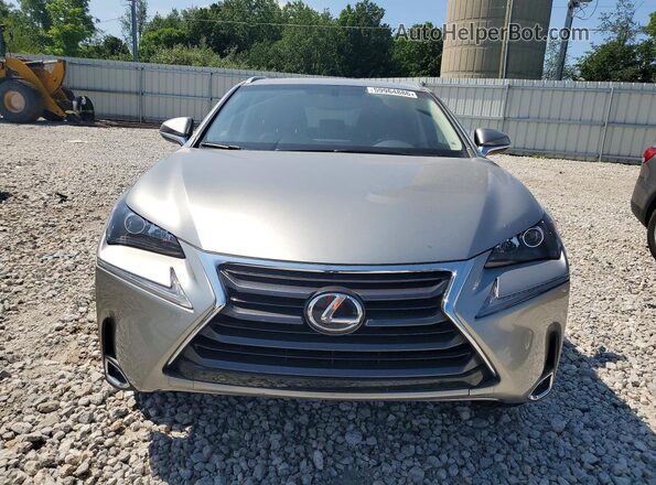 JTJBARBZ6G2095052 2016 LEXUS NX Silver Widok z przodu