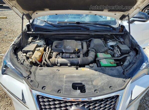 JTJBARBZ6H2111719 2017 LEXUS NX Белый Вид задней части салона