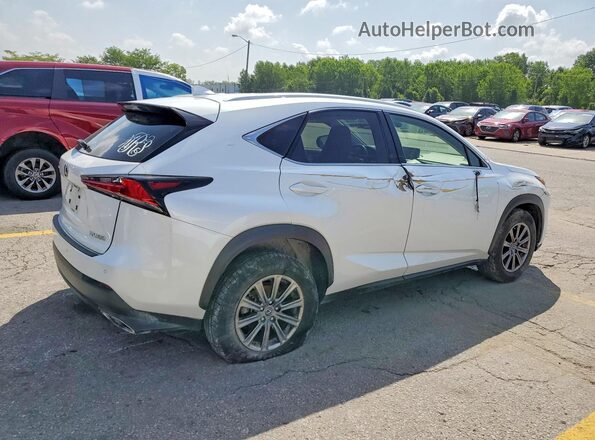 JTJBARBZ6K2183303 2019 LEXUS NX White Rear right