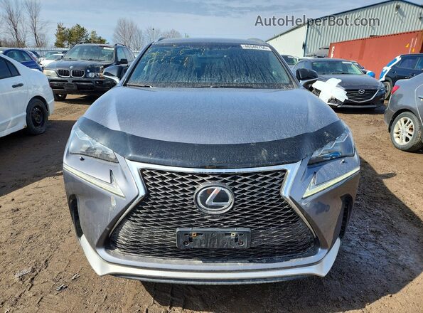 JTJBARBZ7H2135463 2017 LEXUS NX Gray Vista frontal