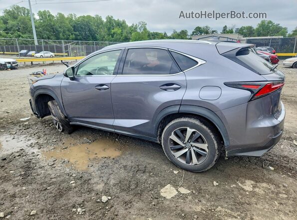 JTJBARBZ7J2151443 2018 LEXUS NX Серый Задняя левая четверть