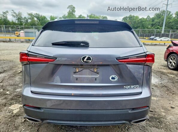 JTJBARBZ7J2151443 2018 LEXUS NX Серый Вид сзади