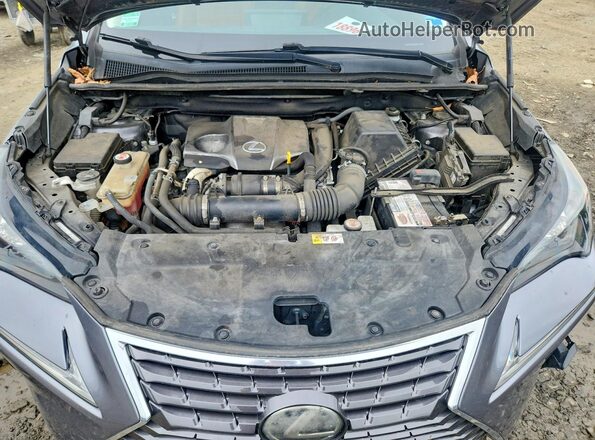 JTJBARBZ7J2151443 2018 LEXUS NX Серый Вид подкапотного пространства