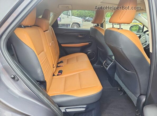 JTJBARBZ7J2151443 2018 LEXUS NX Серый Вид задней части салона