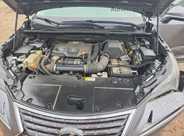JTJBARBZ7K2188302 2019 LEXUS NX Gray Widok wnętrza z tyłu