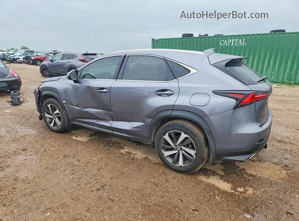 JTJBARBZ7K2188302 2019 LEXUS NX Gray Tył lewy