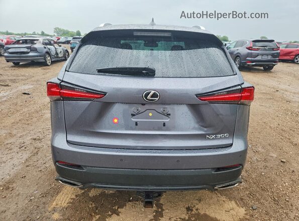 JTJBARBZ7K2188302 2019 LEXUS NX Gray Widok z tyłu